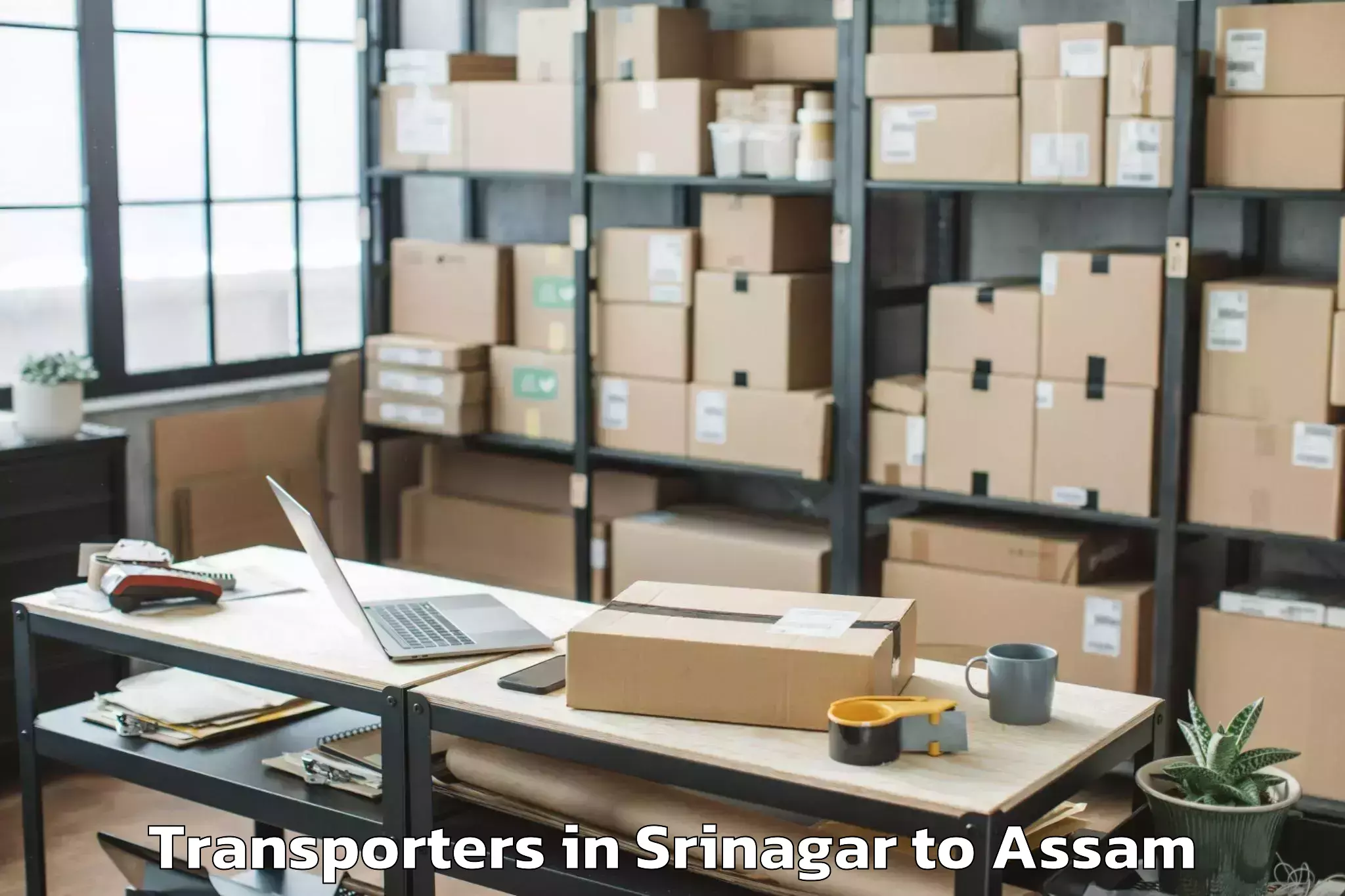 Book Srinagar to Mirza Kamrup Transporters Online